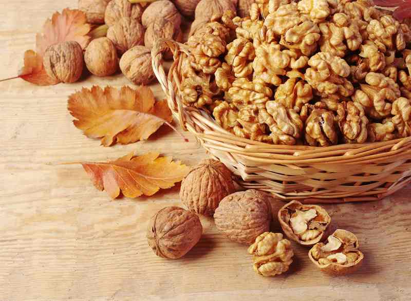 تصویر 3 از خرید و قیمت مغز گردوی عمده + فروش صادراتی